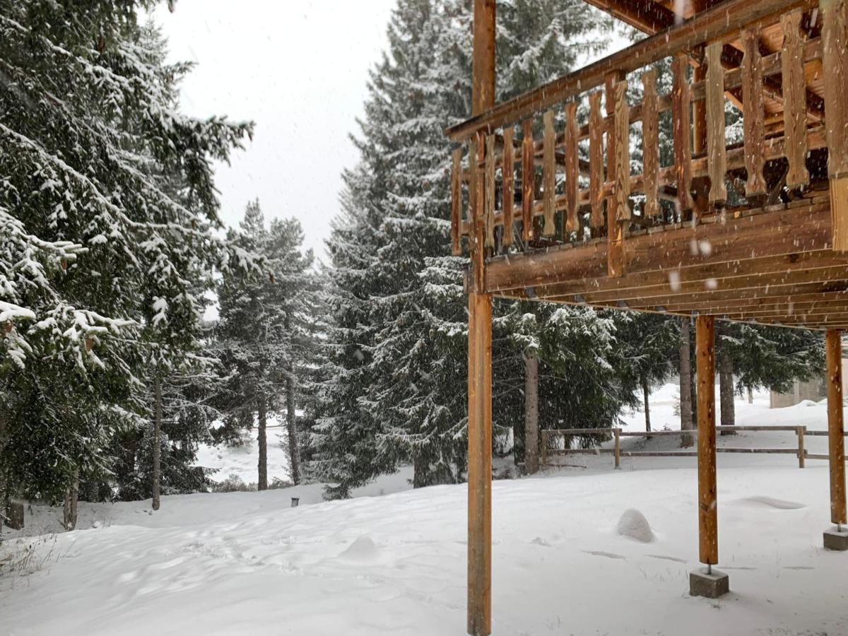 Chalet De Charme Authentique Bolquere Pyrenees 2000 外观 照片